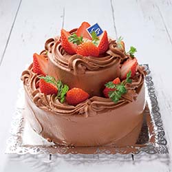 苺の2段チョコケーキ